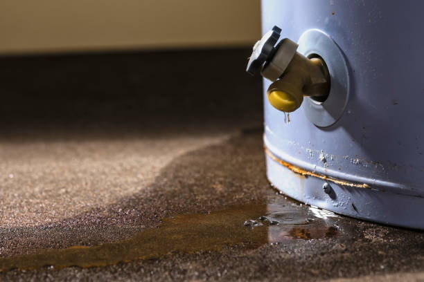 Best Flood restoration services  in Ragland, AL
