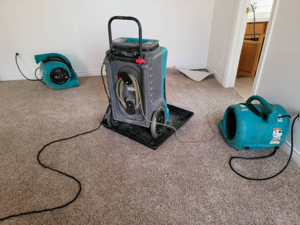 Best Commercial water damage restoration  in Ragland, AL