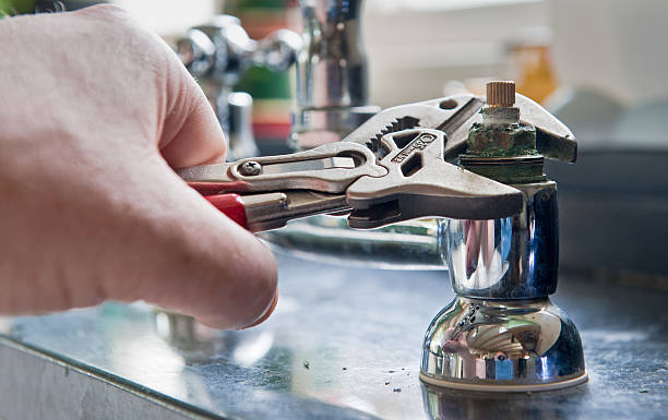 Best Basement water damage restoration  in Ragland, AL