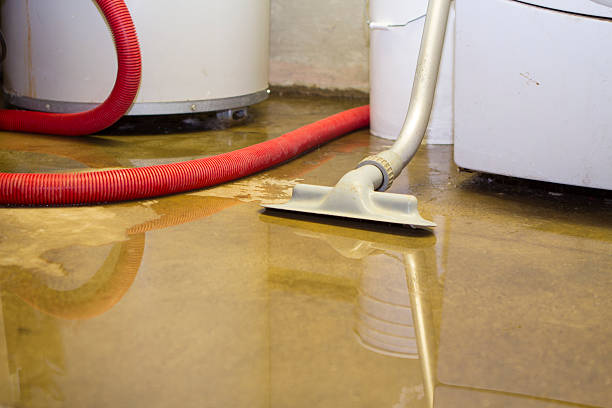 Best Fire Damage Restoration  in Ragland, AL