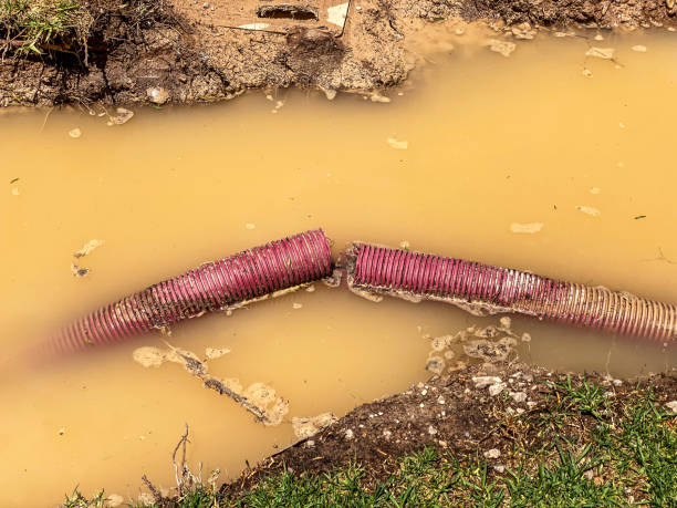 Best Water damage restoration near me  in Ragland, AL