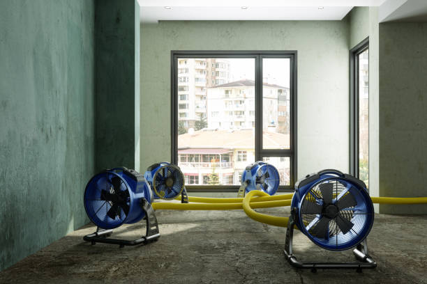Best 24-hour water damage restoration  in Ragland, AL